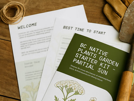 Transform Your Shady Patch into a Buzzing Native Pollinator Haven, Effortlessly