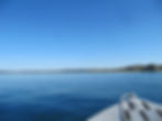 Burgeo