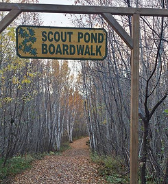 Scout Pond Boardwalk at the Corduroy Brook Nature Trails in GrandFalls-Windsor