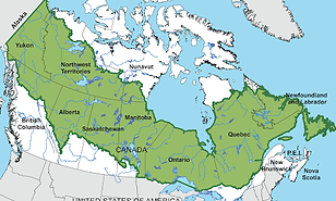 boreal.png