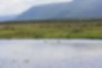 Hawke's Bay
