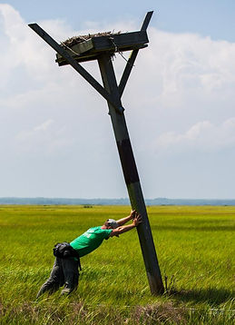 artmax_2340.jpg