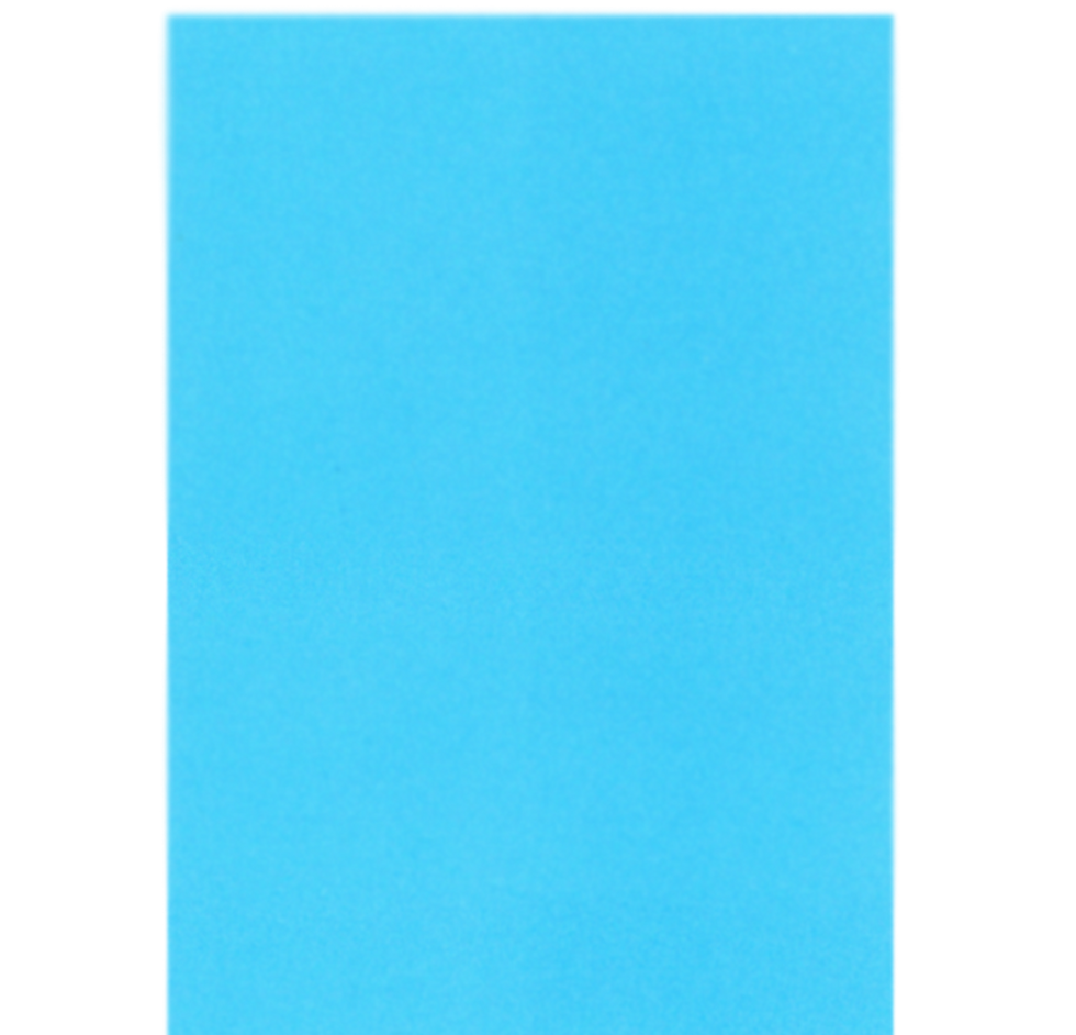 AV 81
