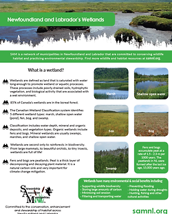 2020 SAMs Guide to wetlands image.png