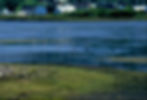 Bay Roberts & Spaniard's Bay