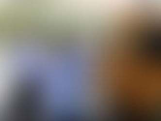 Ставропольские активисты подвели итоги акции «Нарушаю ПДД – позвони в ГИБДД!»