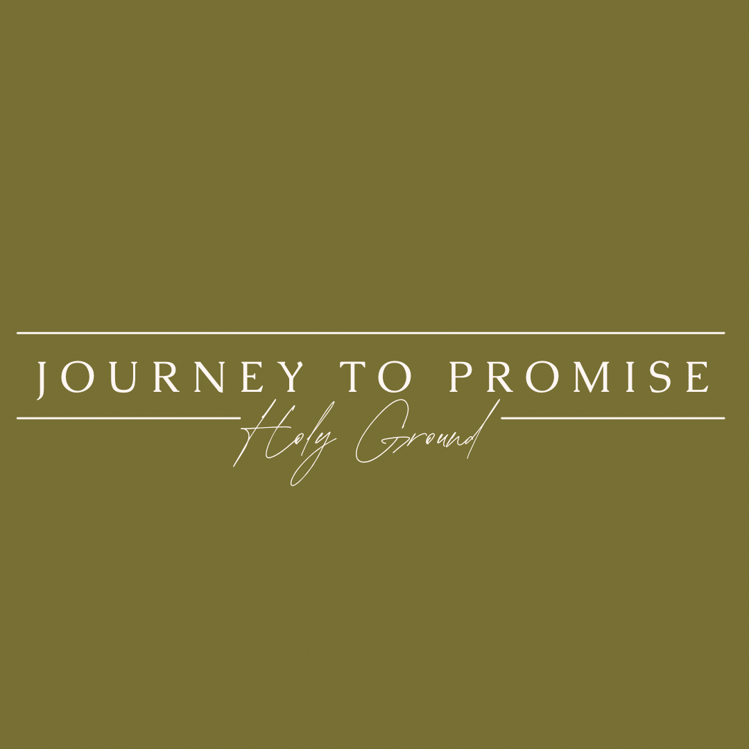 Writer: Journey To Promise