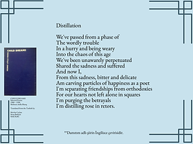 Damıtım İngilizce çevirisi