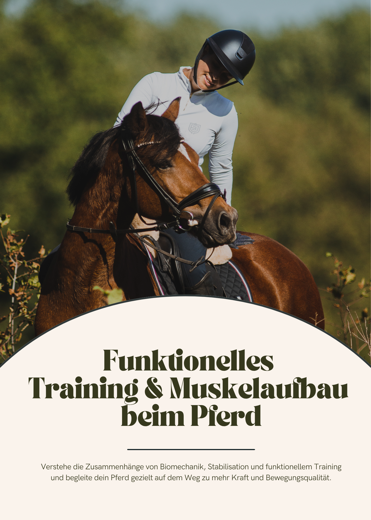 Funktionelles Training & Muskelaufbau beim Pferd