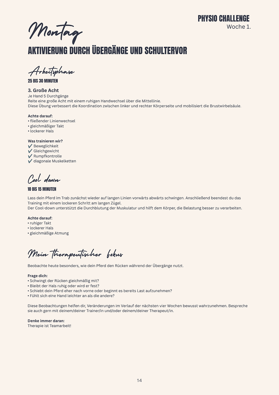 Miniaturbild: 4 Wochen Aufbauprogramm für den Pferderücken