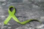 Green-Ribbon.webp