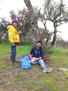 SoilProfile4-EricNanni-prepping.jpeg