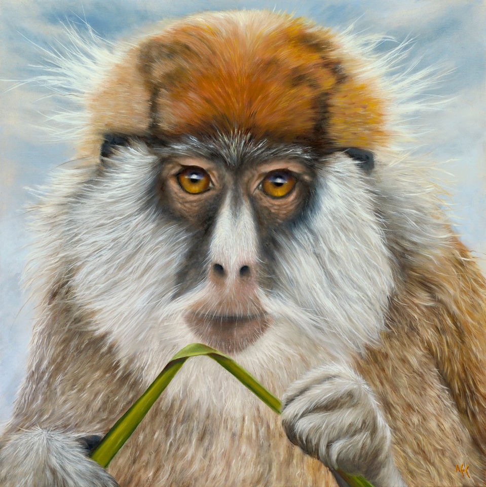 The Encounter
Patas monkey wildlife painting animal animal painting
