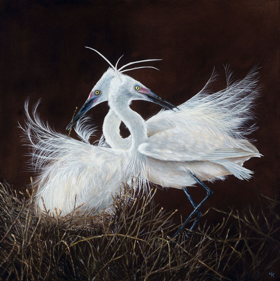 little egrets
animal
bird bird painting painting wildlife