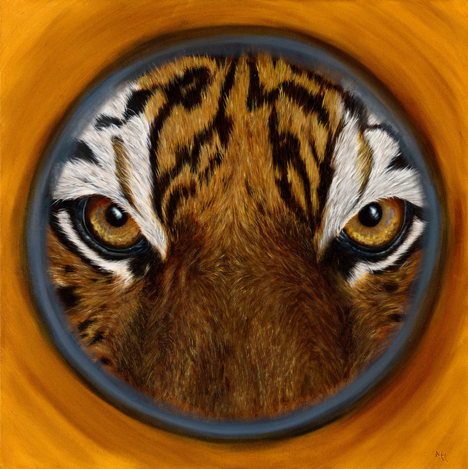 oog van tijger met cirkel er omheen