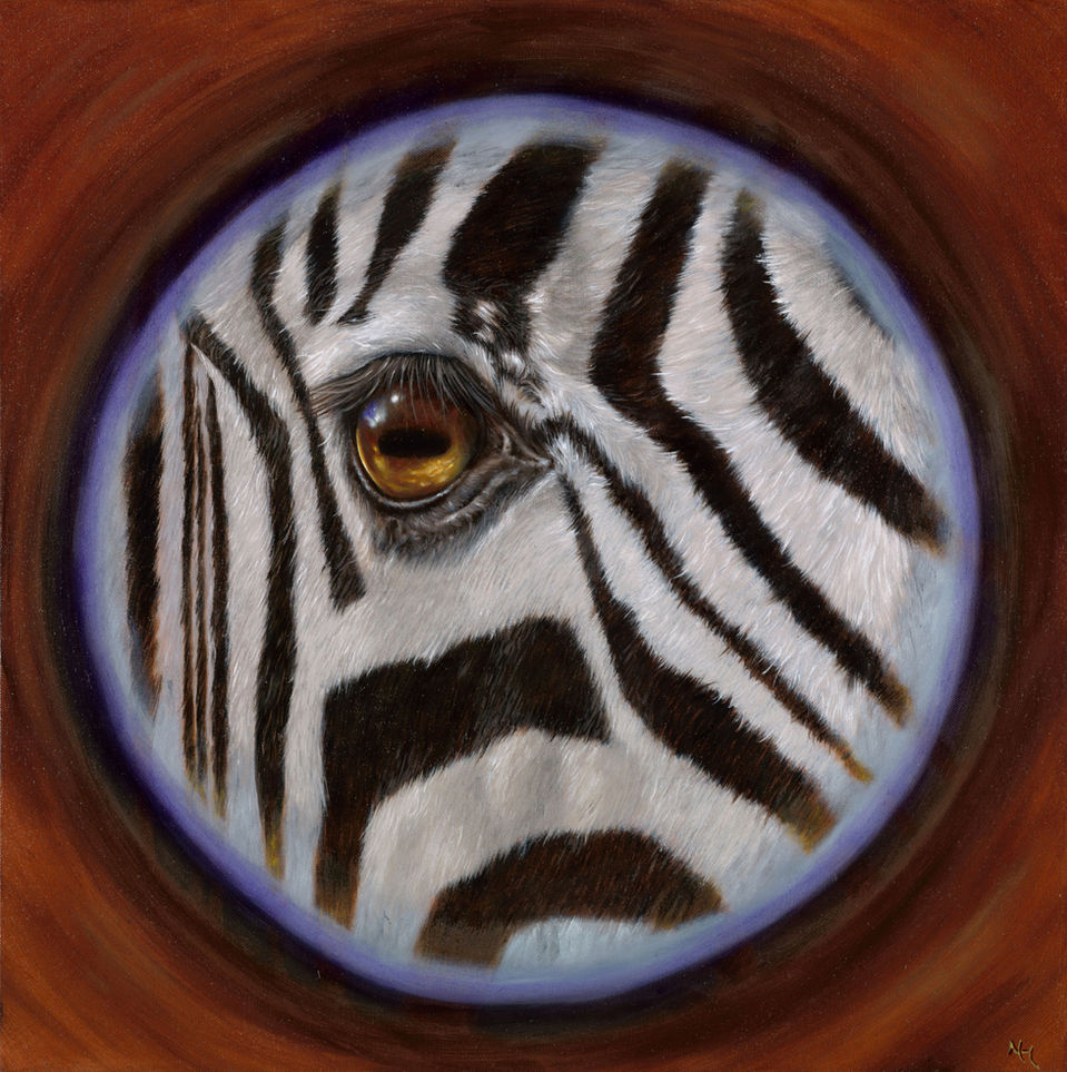 Eye of zebra with circle around it