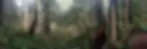 Silver Falls.jpg