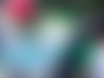 Art Jam Bench Edition (SSP)