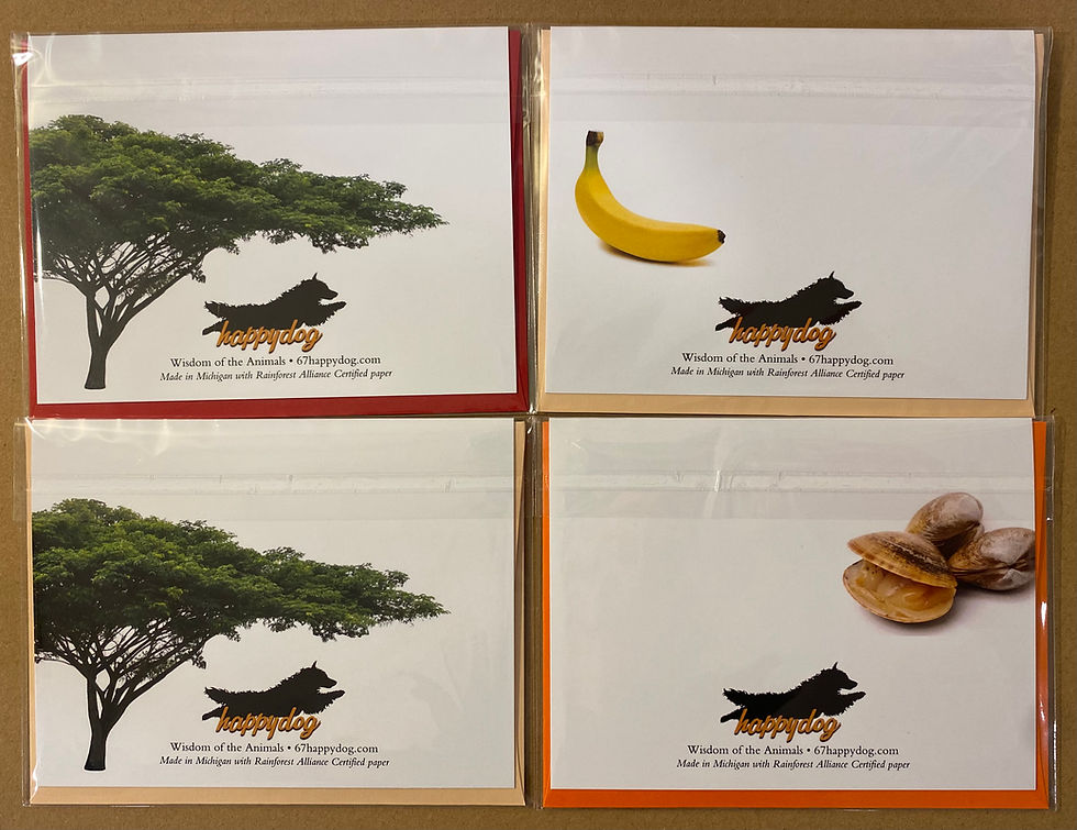 Thumbnail: Notecard Group 3 - Animal Collage