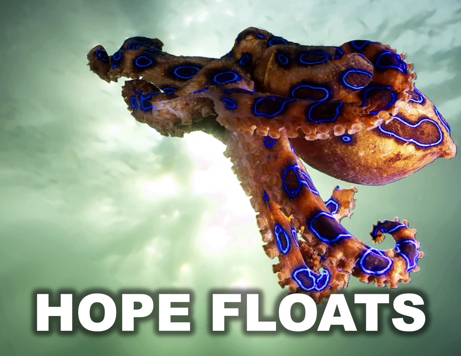 Notecard - Hope Floats