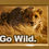 Thumbnail: Notecard - Cheetah Go Wild