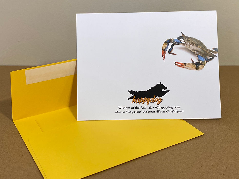 Thumbnail: Notecard - Together We Rise