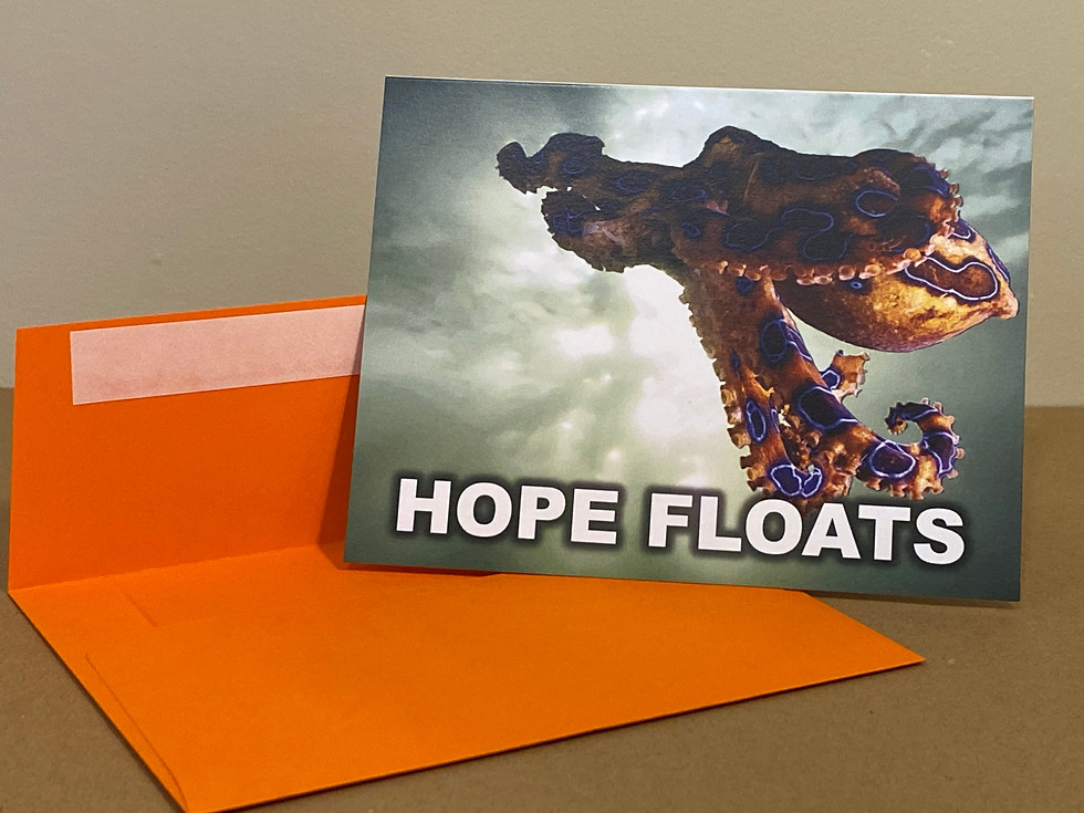 Thumbnail: Notecard - Hope Floats