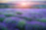 Hero 2 actual Depositphotos_48775563_XL.jpg