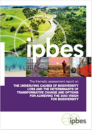 Capture d’écran, le 2026-04-21 à 18.13.55.png