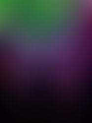 Halloween Spooktacular Display