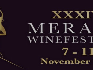 Esplora l’eccellenza: alla scoperta del Merano WineFestival 2025 a Merano