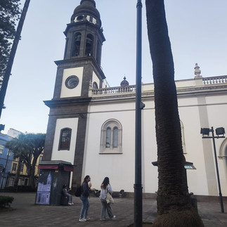 Tenerife in 4 Giorni: Itinerari, suggerimenti e tips per scoprire l'isola