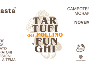 Tartufi e Funghi del Pollino 2025: Eventi Autunnali nel Parco Nazionale del Pollino tra Natura e Gastronomia