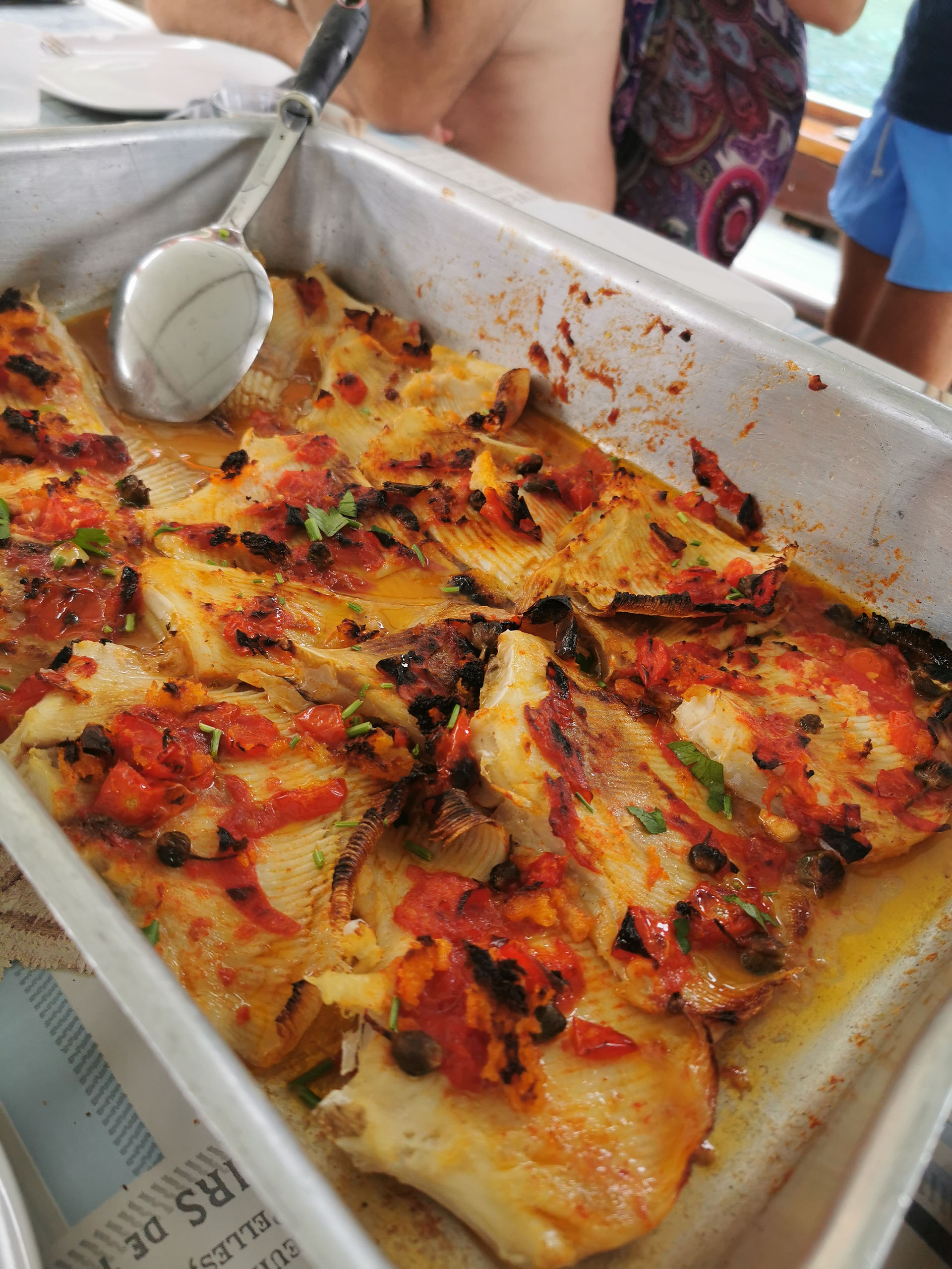 mangiare alle isole tremiti