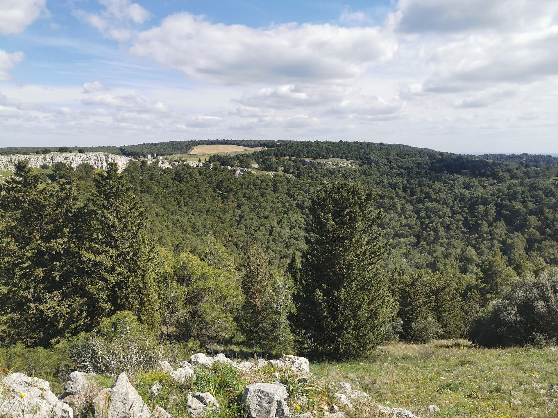 parco dell'alta murgia gravina in puglia