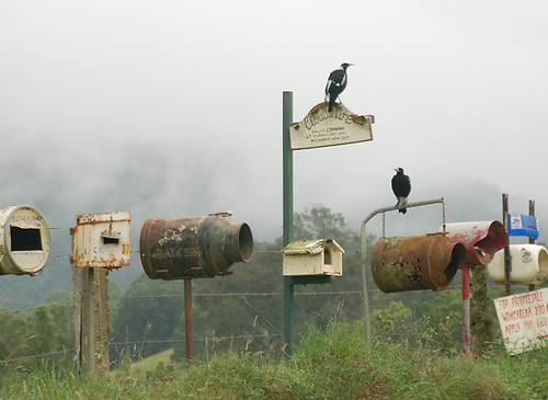 Photo of Letterboxes lined up on Comboyne Rd Killabakh by local photographer Carol Saul.jpg