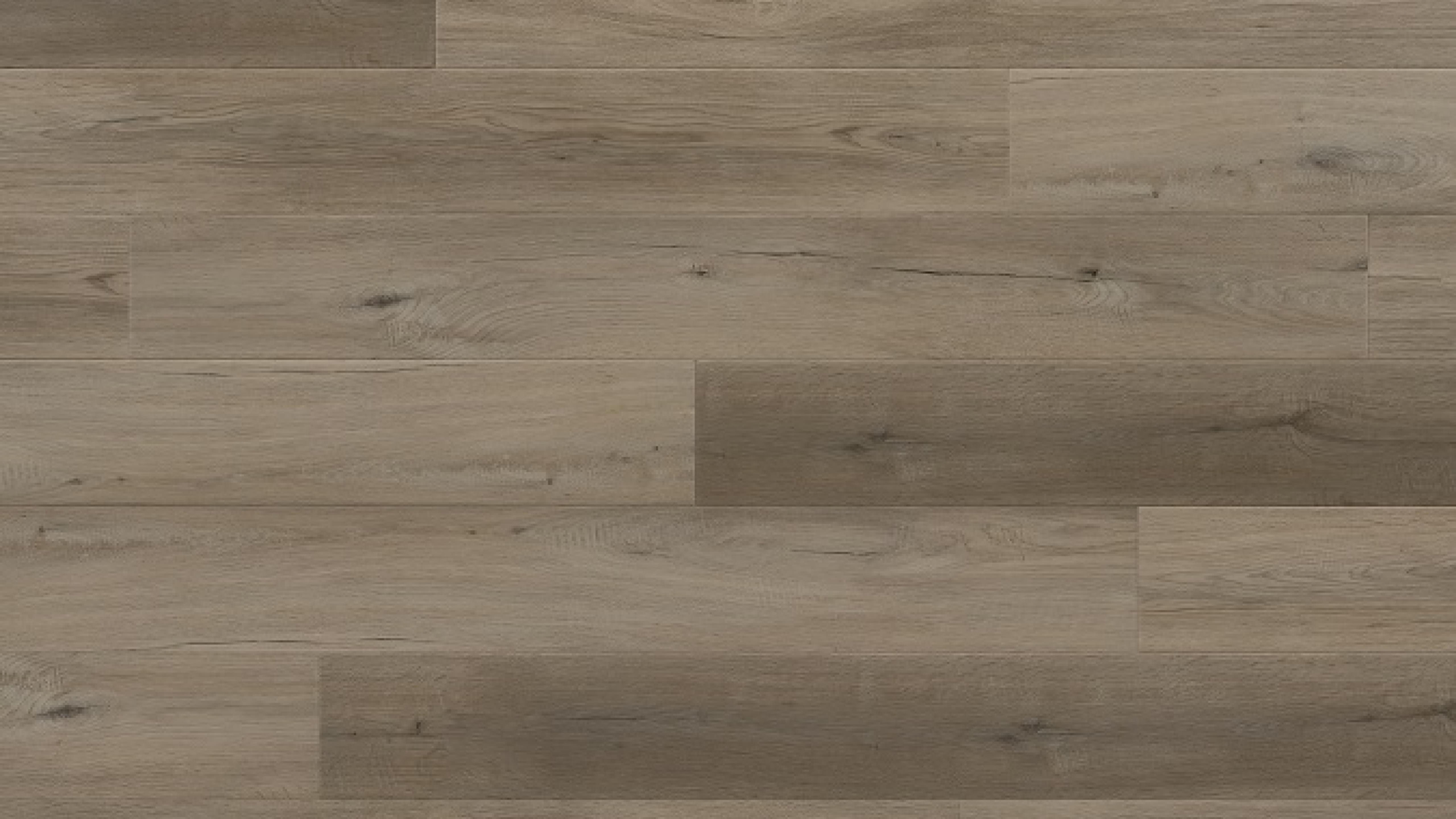 Canyon Taylor Rigid Core