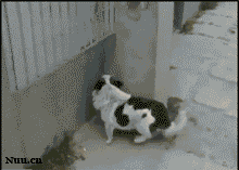 1386093986.gif