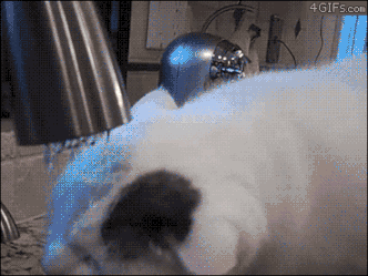 image (71).gif