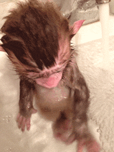 1386092692.gif