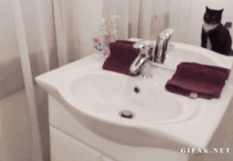 image (90).gif