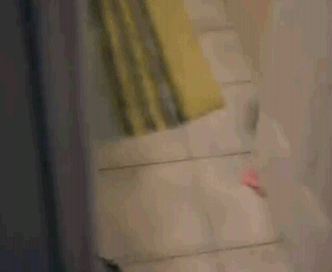 image (100).gif