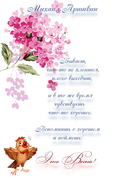свеетлана набока 1.gif