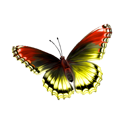 135751054_3.gif