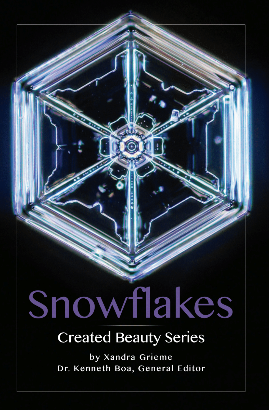 Snowflakes Booklet