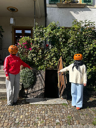 IMG_8579.jpeg