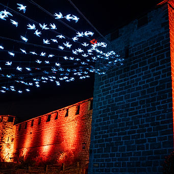 Lichtfestival26_Tobias_Ryser-00896 (1).jpg