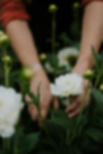PYO Flowers - Morning Session