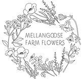 Mellangoose%20Farm%20Flowers%20logo%20Jp