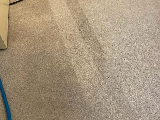 Carpet Cleaners Sheffield for Deep Cleaning and Healthier Living Spaces